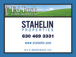 Stahelin Properties